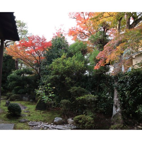 Tea Ceremony at Komurasaki An in Arashiyama, Kyoto